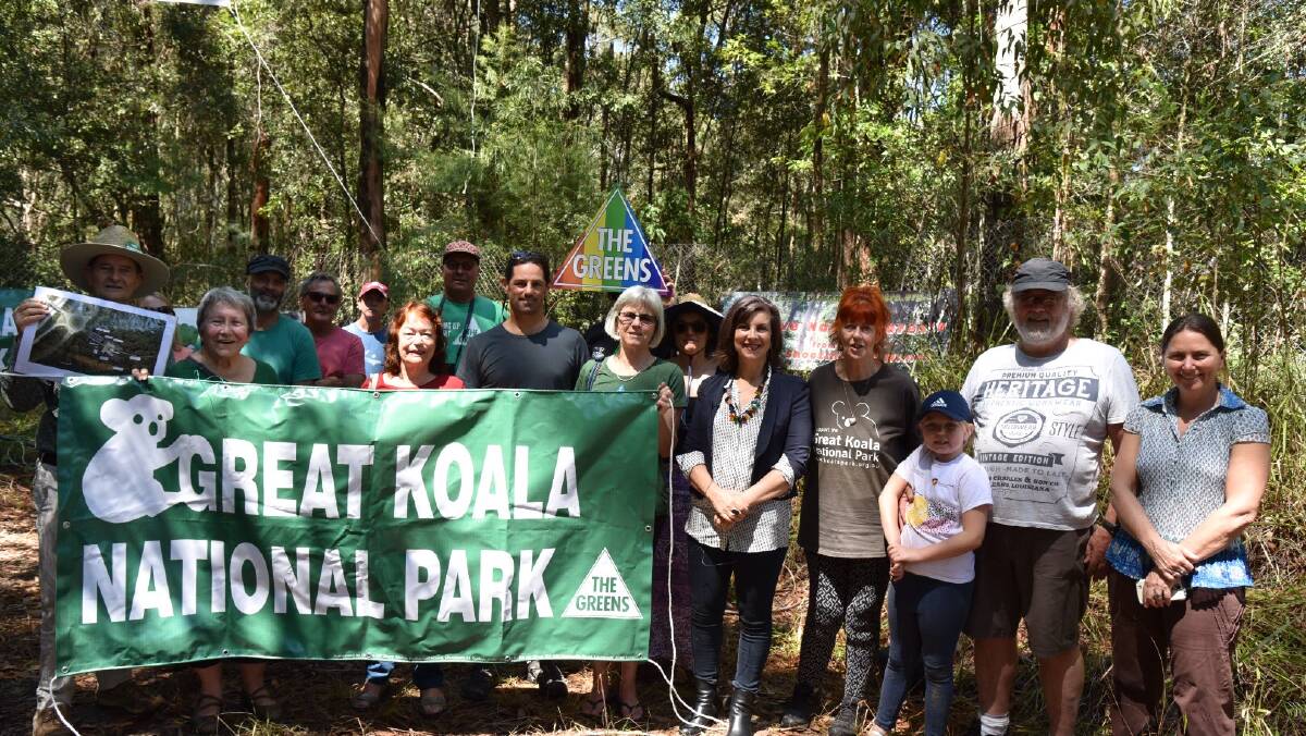 What is the economic potential of a Koala National Park