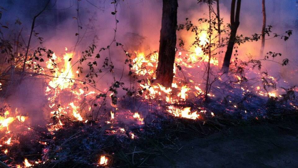 Emergency declared at Bees Nest fire. File photo.