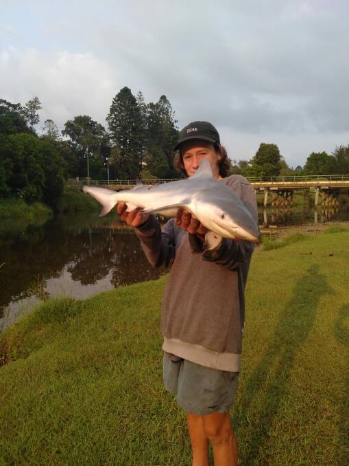 SHARK ALERT: Taff Cooper Williams with the bull shark he found on the banks of the Bellinger River on Saturday