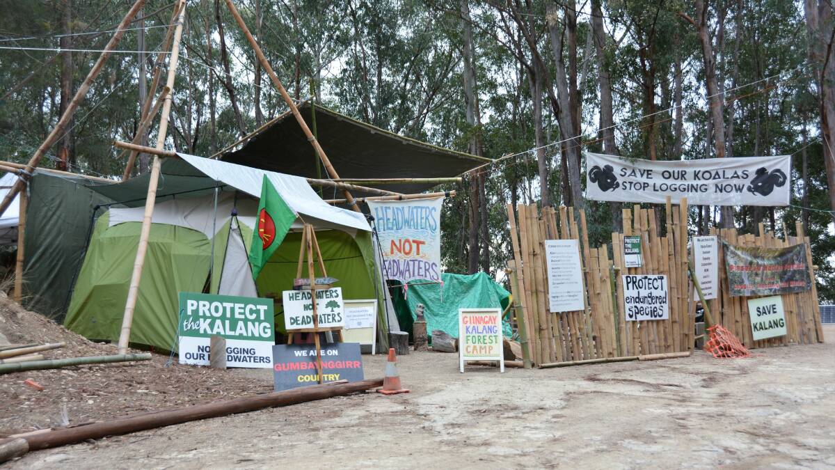 Kalang protest camp moves due to forest closures