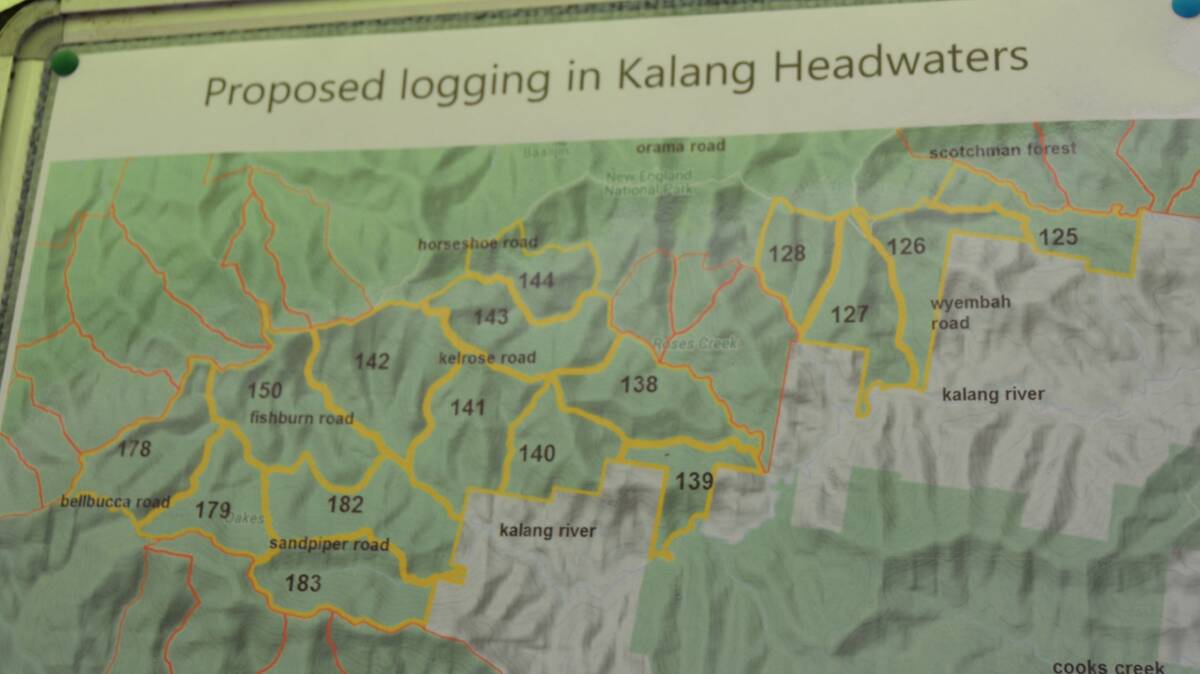 A word about Kalang from Forestry Corp