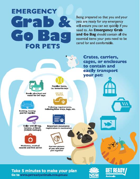 Remember to prepare a grab and go bag for your pets. Photo: Supplied