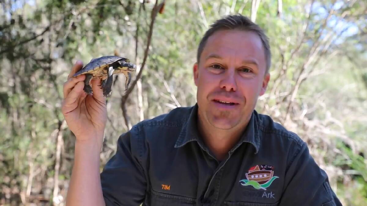 A first: Aussie Ark general manager Tim Faulkner with Manny, the first Manning River Turtle in the world in a conservation program.