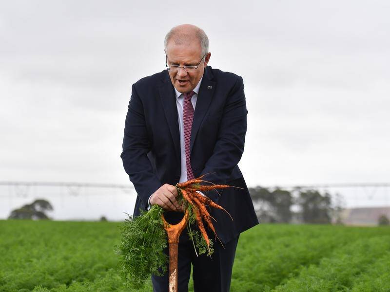 Prime Minister Scott Morrison at a farm west of Devonport in Tasmania.