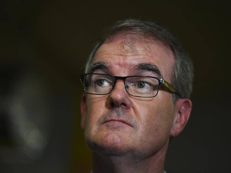 Michael Daley says the NSW government is bullying the PBO over costing of Labor's stadiums policy.