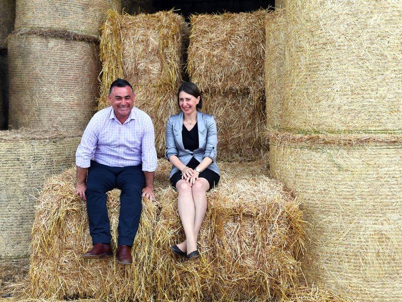 NSW Premier Gladys Berejiklian and Deputy Premier John Barilaro have visited a Lismore farm.