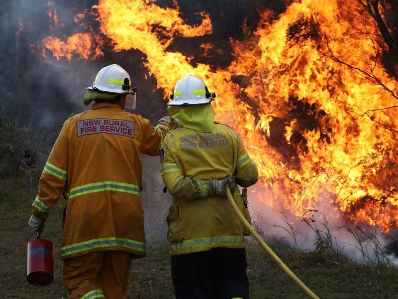 NSW firefighters continue to battle out-of-control bushfires in the state's north.