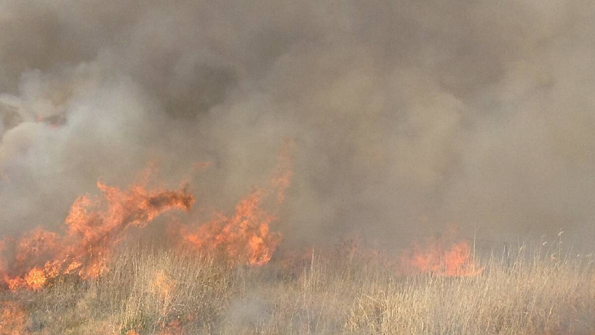 Man charged after allegedly lighting bushfire in Dorrigo last month